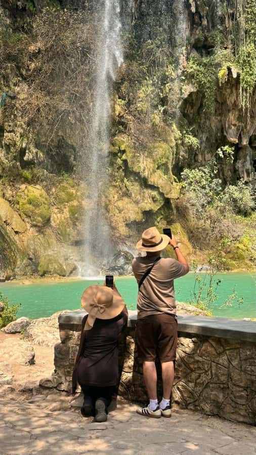 Salalah East Tour: Taqah , Darbat waterfall,camel's baobab - Camels and the human side of the route