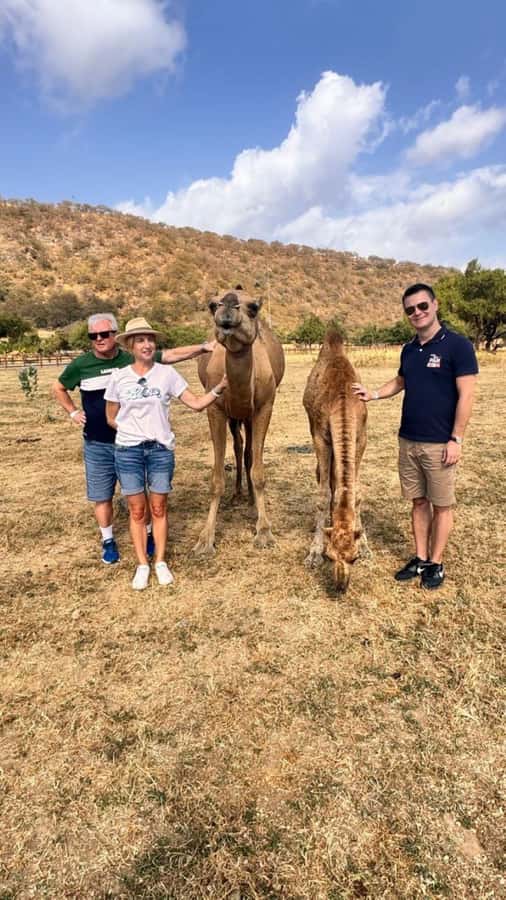 Salalah East Tour: Taqah , Darbat waterfall,camel's baobab - What the $117 price gets you