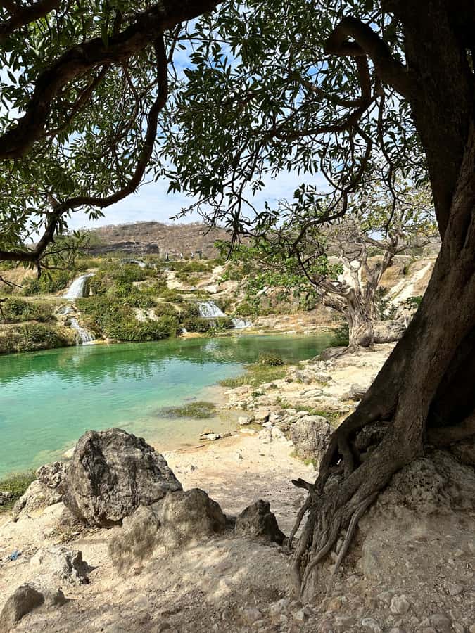 Salalah: Half-Day Guided Tour to Wadi Darbat & Mount Samhan - From Taqah Beach to the high country