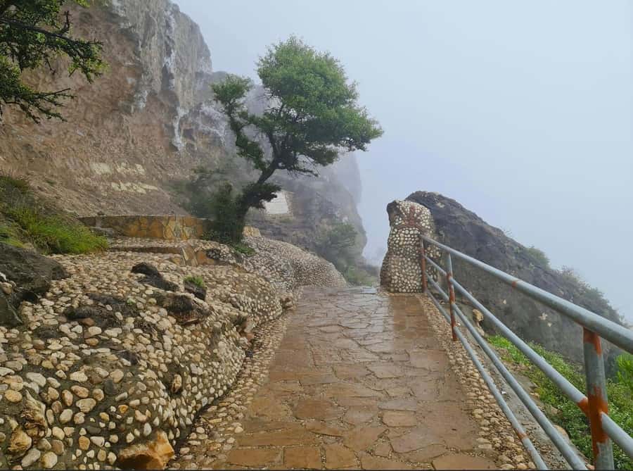 Salalah: Half-Day Guided Tour to Wadi Darbat & Mount Samhan - Should you book Wadi Darbat and Mount Samhan?