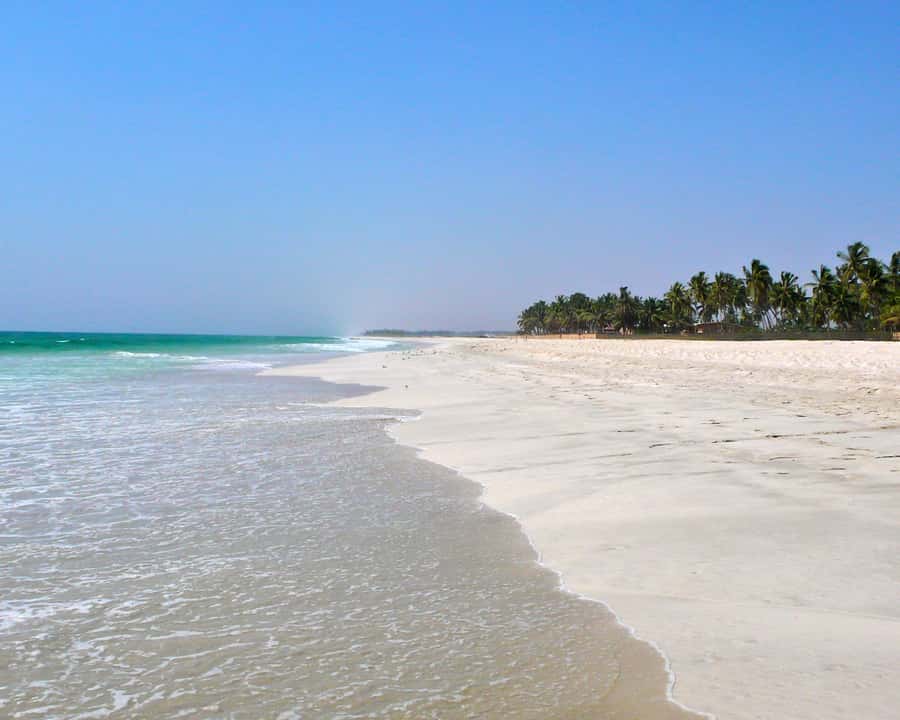 Salalah: Horse Riding by the Beach - Key points to know before you book