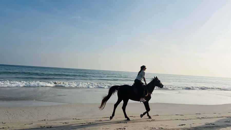 Salalah: Horse Riding by the Beach - What the one-hour ride feels like