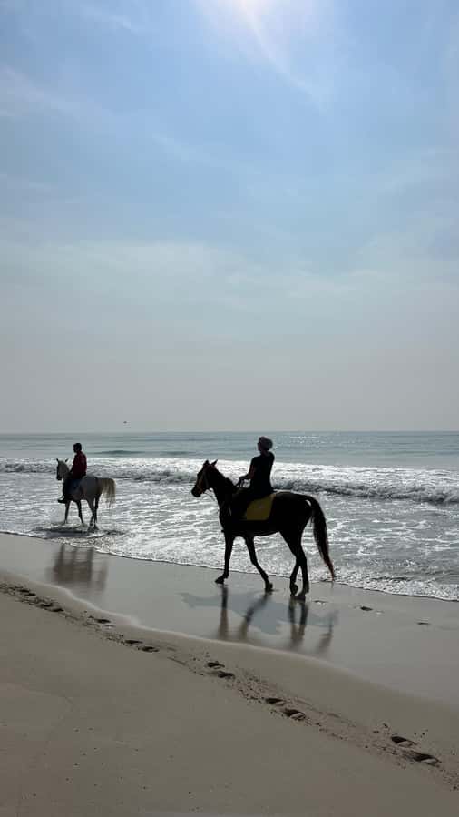 Salalah: Horse Riding by the Beach - What one strong rating tells you