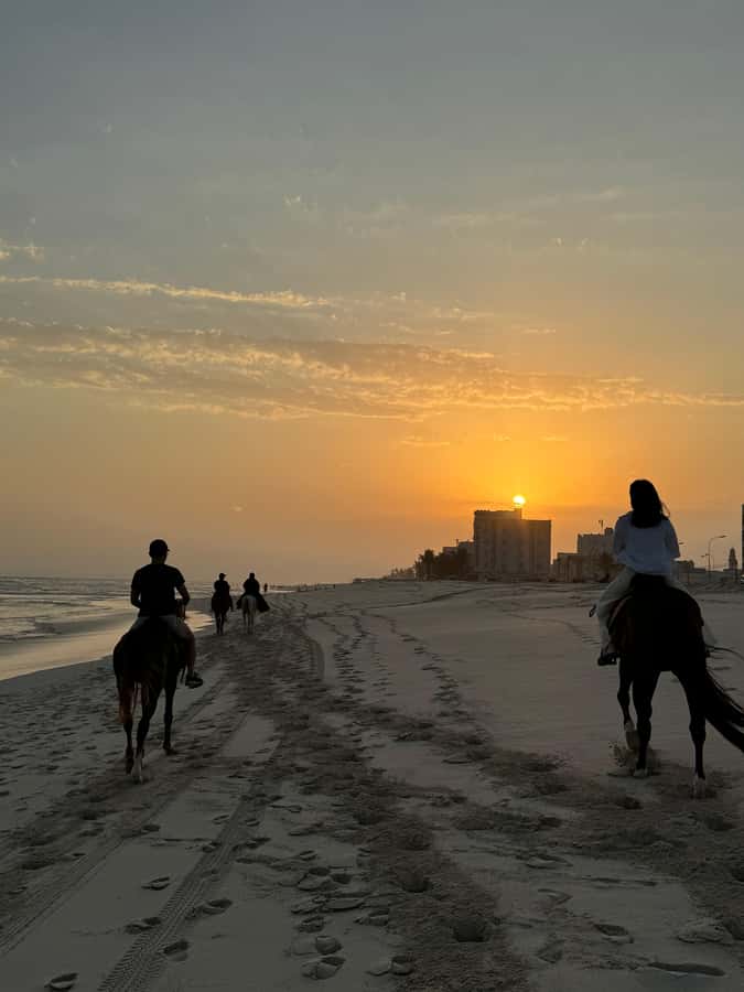 Salalah: Horse Riding by the Beach - Comfort, safety, and what to bring