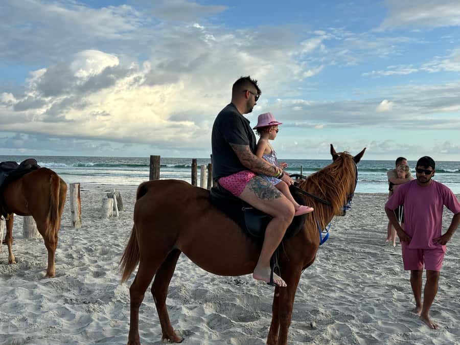 Salalah Horse Riding on the Beach optional Hotel Pick & Drop - Key points to know before you book