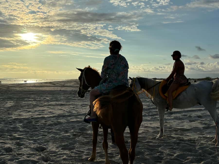 Salalah Horse Riding on the Beach optional Hotel Pick & Drop - Getting comfortable with the horses