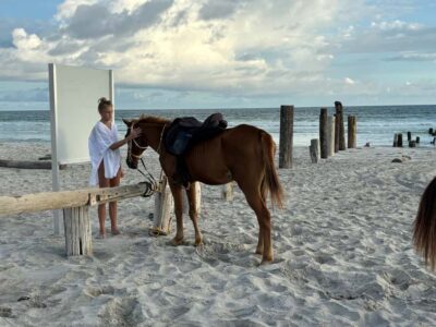 Salalah Horse Riding on the Beach optional Hotel Pick & Drop