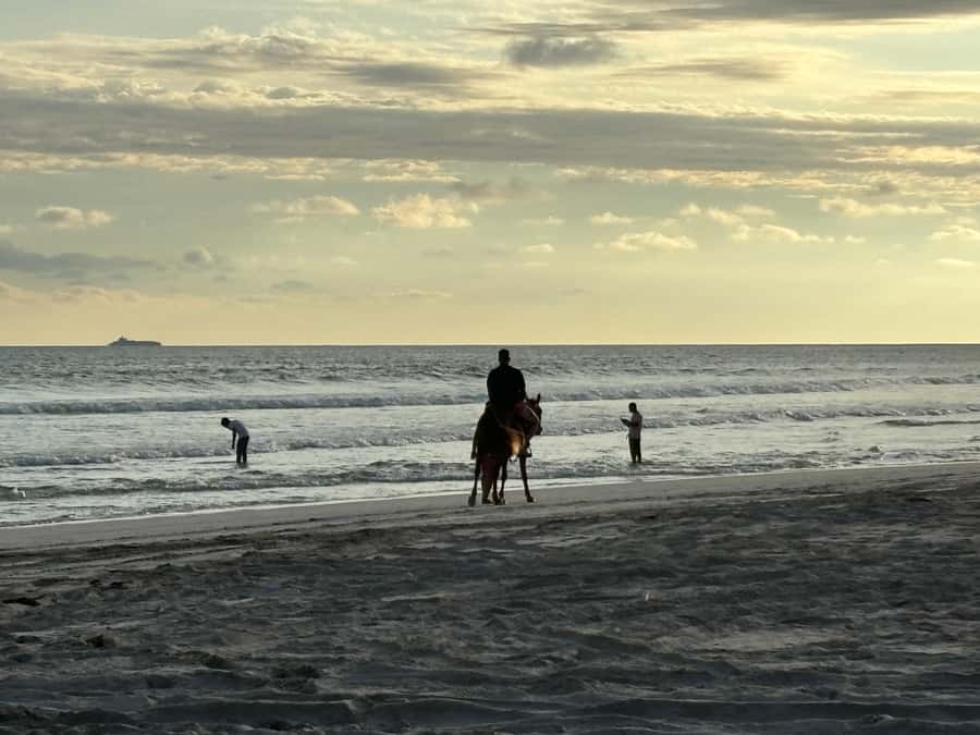 Salalah Horse Riding on the Beach optional Hotel Pick & Drop - What the beach ride feels like