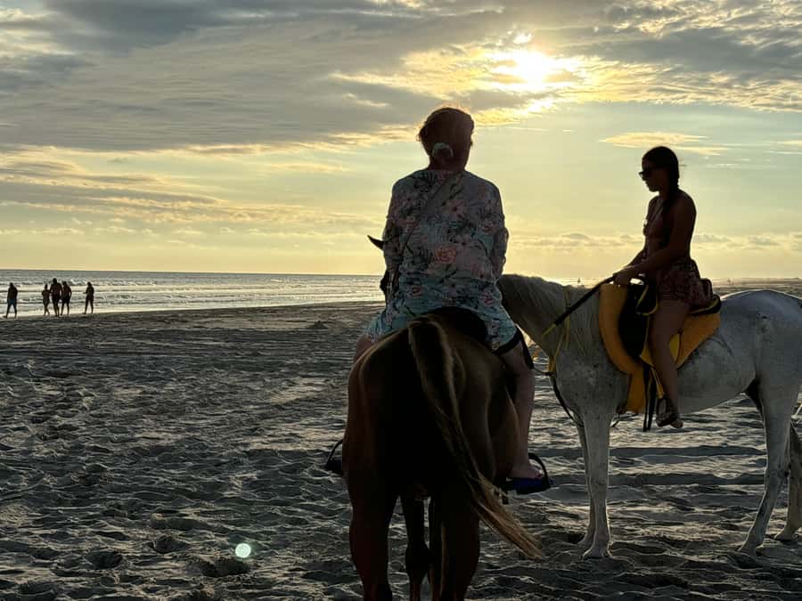 Salalah Horse Riding on the Beach optional Hotel Pick & Drop - Sunset, heat, and the best time to ride
