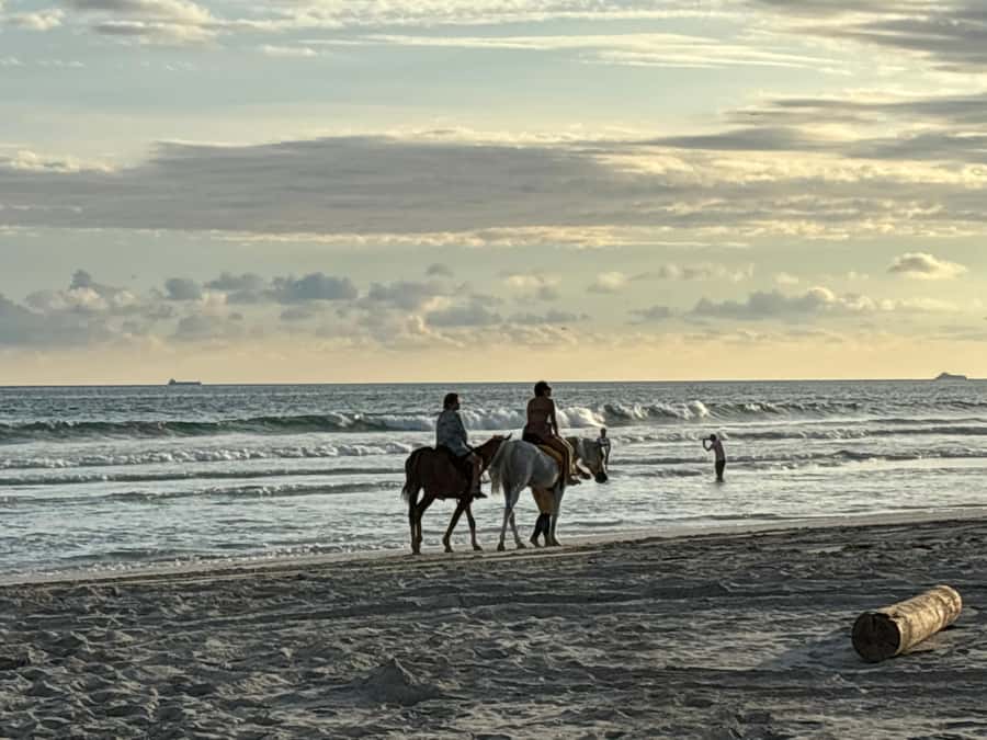 Salalah Horse Riding on the Beach optional Hotel Pick & Drop - Hotel pickup or driving yourself
