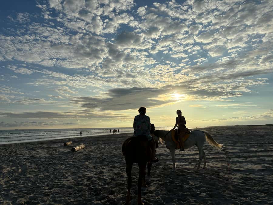 Salalah Horse Riding on the Beach optional Hotel Pick & Drop - Who should choose another activity