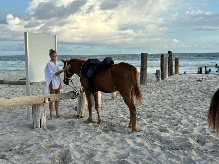 Salalah Horse Riding on the Beach optional Hotel Pick & Drop - Choosing between 30 minutes and 1 hour