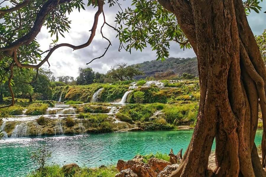 Salalah's Hidden Gems: East & West Adventure - Why this Salalah route works so well