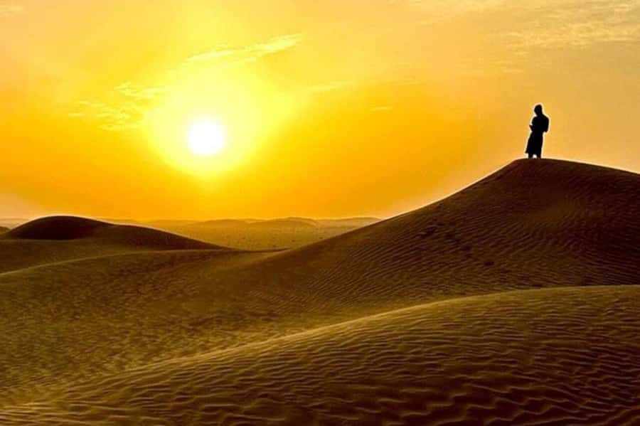 Salalah: Sunset desert safari tour in salalah(private tour) - Meeting the black camels
