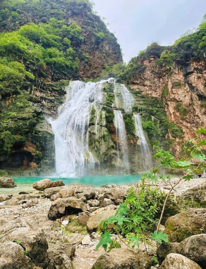 Salalah: Wadi Darbat, ,Teeq Cave - Baobou Trees Tour - Key points to know before you book