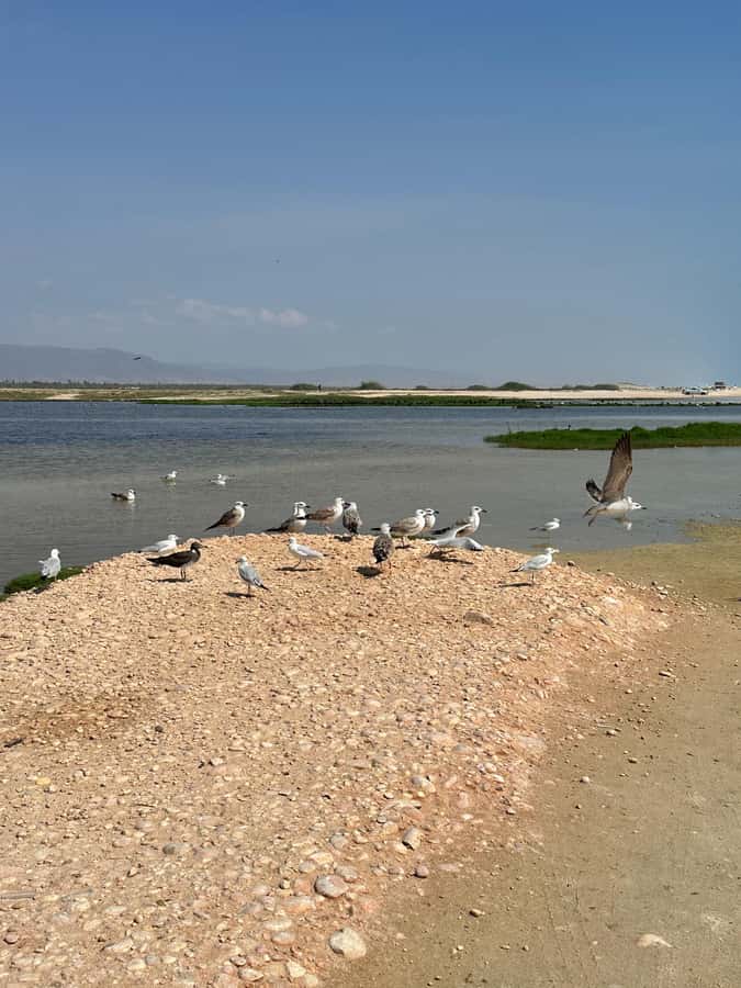 Salalah: Wadi Derbat, Jabal Samhan, & Sinkhole Private Tour - Jabal Samhan and the view that ties it together