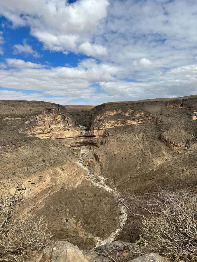 Salalah: Wadi Derbat, Jabal Samhan, & Sinkhole Private Tour - Wadi Derbat’s water, palms, and birdlife