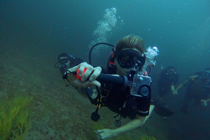 Scuba Diving Adventure in Musandam, Oman - Why Musandam makes a memorable underwater trip