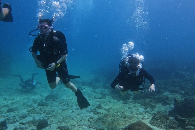Scuba Diving Adventure in Musandam, Oman - What the two sessions are like