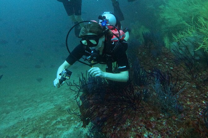 Scuba Diving Adventure in Musandam, Oman - Food, drinks, and what you must bring