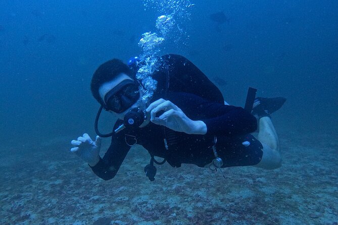 Scuba Diving Adventure in Musandam, Oman - Is the $153.52 price fair?