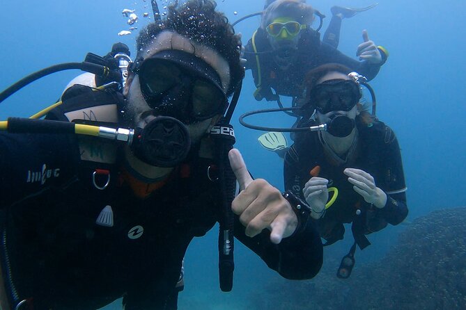 Scuba Diving in muscat - What you might see below the surface