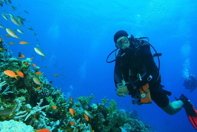 Scuba Diving to Dimaniyat Islands Muscat Oman - The boat ride to Oman’s marine reserve