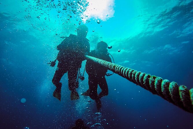 Scuba Diving to Dimaniyat Islands Muscat Oman - Coral gardens, walls, and 12 underwater sites