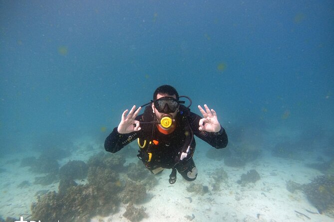Scuba Diving Trips to Dimaniyat Islands - What you may see below the surface