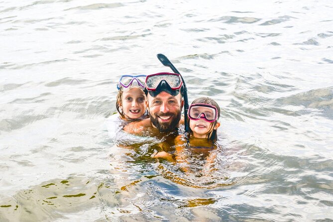 Sea Wonders Dolphin Watching and Snorkeling in Muscat - Dolphins in Muscat’s open coastal waters