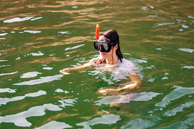Sea Wonders Dolphin Watching and Snorkeling in Muscat - What the boat setup means for your comfort