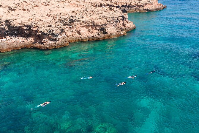 Snorkeling Adventure to Daymaniat Islands - Two snorkeling stops around the reserve
