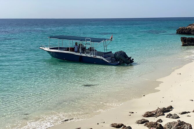 Snorkeling Adventure to Daymaniat Islands - Turtle and shark sightings, with sensible expectations