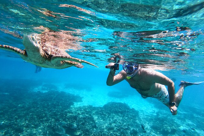 Snorkeling Adventure to Daymaniat Islands - The 45 to 60-minute boat trip