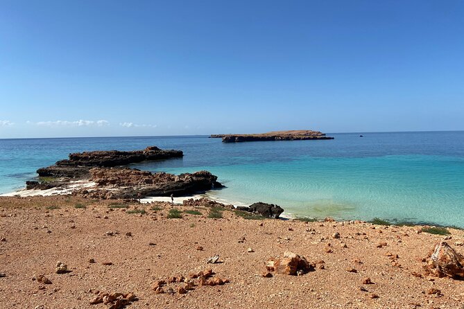 Snorkeling at Dimaniyat Islands and Dolphin Watching - Dolphin watching: exciting possibility, uncertain result