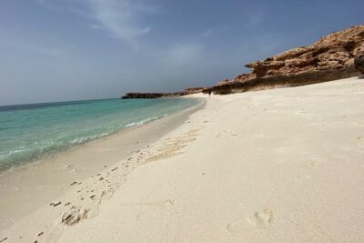 Snorkeling at Dimaniyat Islands and Dolphin Watching