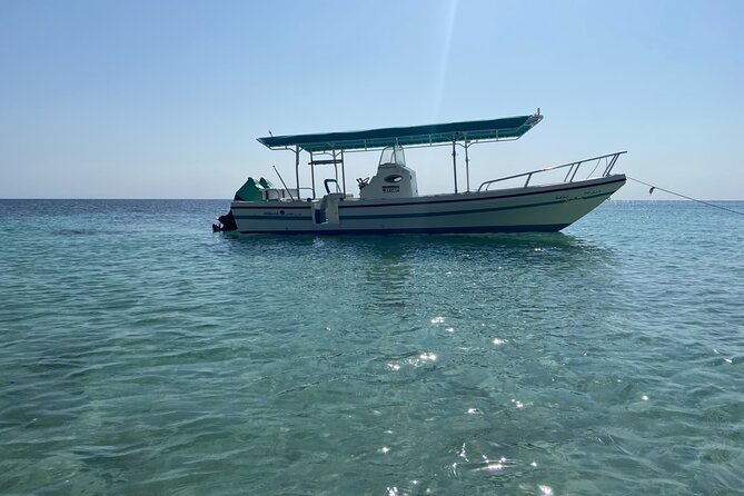Snorkeling at Dimaniyat Islands and Dolphin Watching - Whale sharks and other lucky sightings