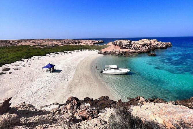 Snorkeling in Daymaniat Island - Setting Out From Al Mouj Marina at 9:00 am