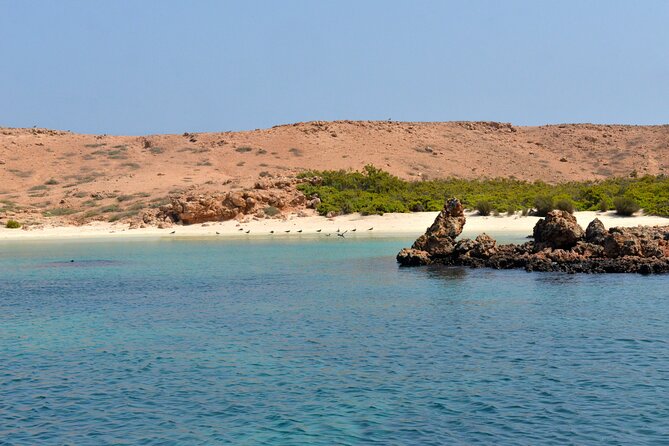 Snorkeling trips to Daymaniat Islands Sharing Trip - Key points to know before booking