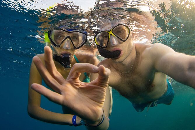 Snorkeling trips to Daymaniat Islands Sharing Trip - Why Daymaniat is worth the boat ride