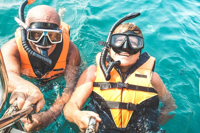 Snorkeling trips to Daymaniat Islands Sharing Trip - A closer look at the snorkeling