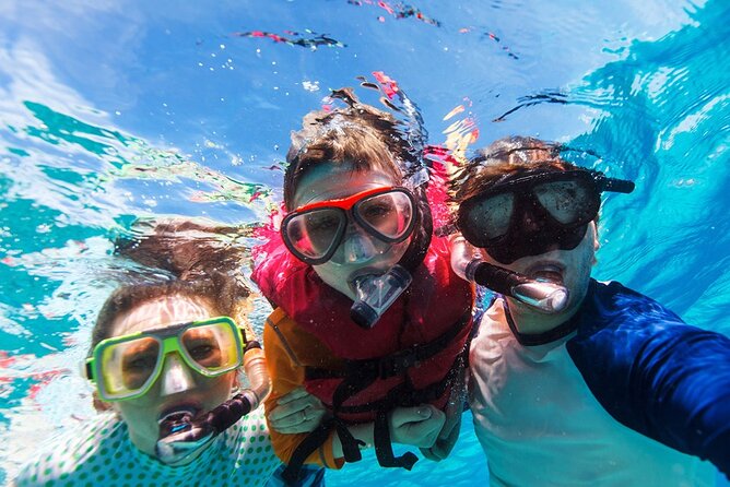 Snorkeling trips to Daymaniat Islands Sharing Trip - The people who shape the day