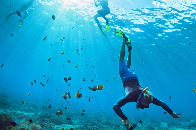 Snorkeling trips to Daymaniat Islands Sharing Trip - The small drawbacks to consider