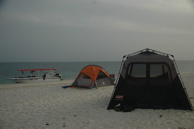 Snorkeling trips to Daymaniat Islands Sharing Trip - Who will enjoy this most