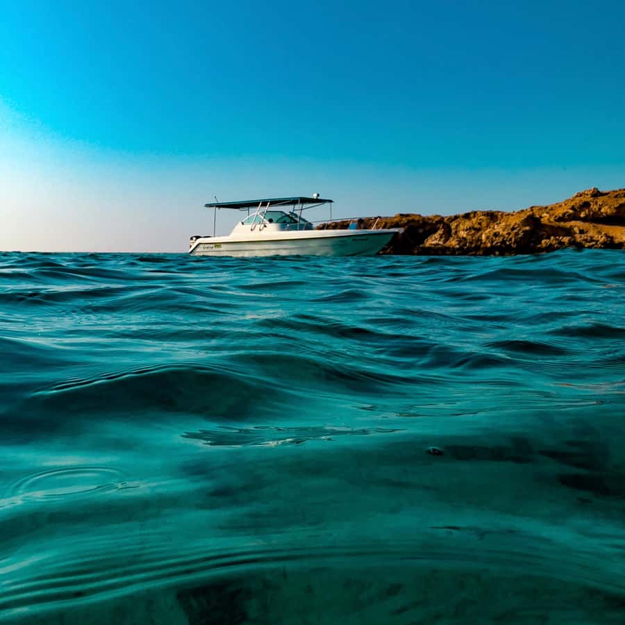 Snorkeling with turtles at Ad Daymaniyat Islands - Key points to know before you go