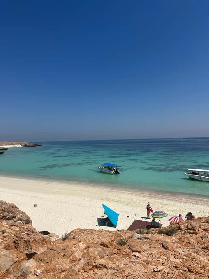 Snorkeling with turtles at Ad Daymaniyat Islands - Why the Ad Dimaniyat Islands trip is worth considering