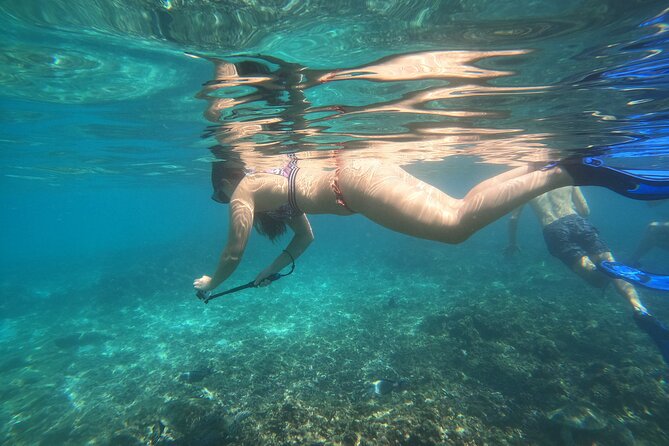 Snorkelling tours to Daymaniyat island - Key points before you book