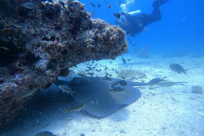 Snorkelling tours to Daymaniyat island - Finding the boat at Seeb Marina