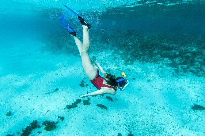 Snorkelling tours to Daymaniyat island - Is $85 good value?