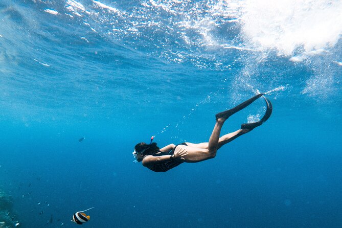 Snorkelling tours to Daymaniyat island - Sea conditions, comfort, and realistic expectations